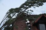 Techn_Baum_07.jpg