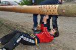 Maibaum_10.jpg