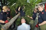 Maibaum_27.jpg