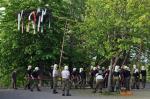 Maibaum_29.jpg