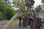 Maibaum_30.jpg