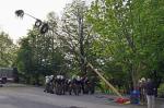 Maibaum_31.jpg