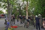 Maibaum_32.jpg