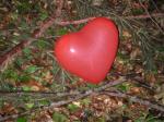 imgp0753.jpg