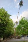 ff_bt_maibaum2009_10.jpg